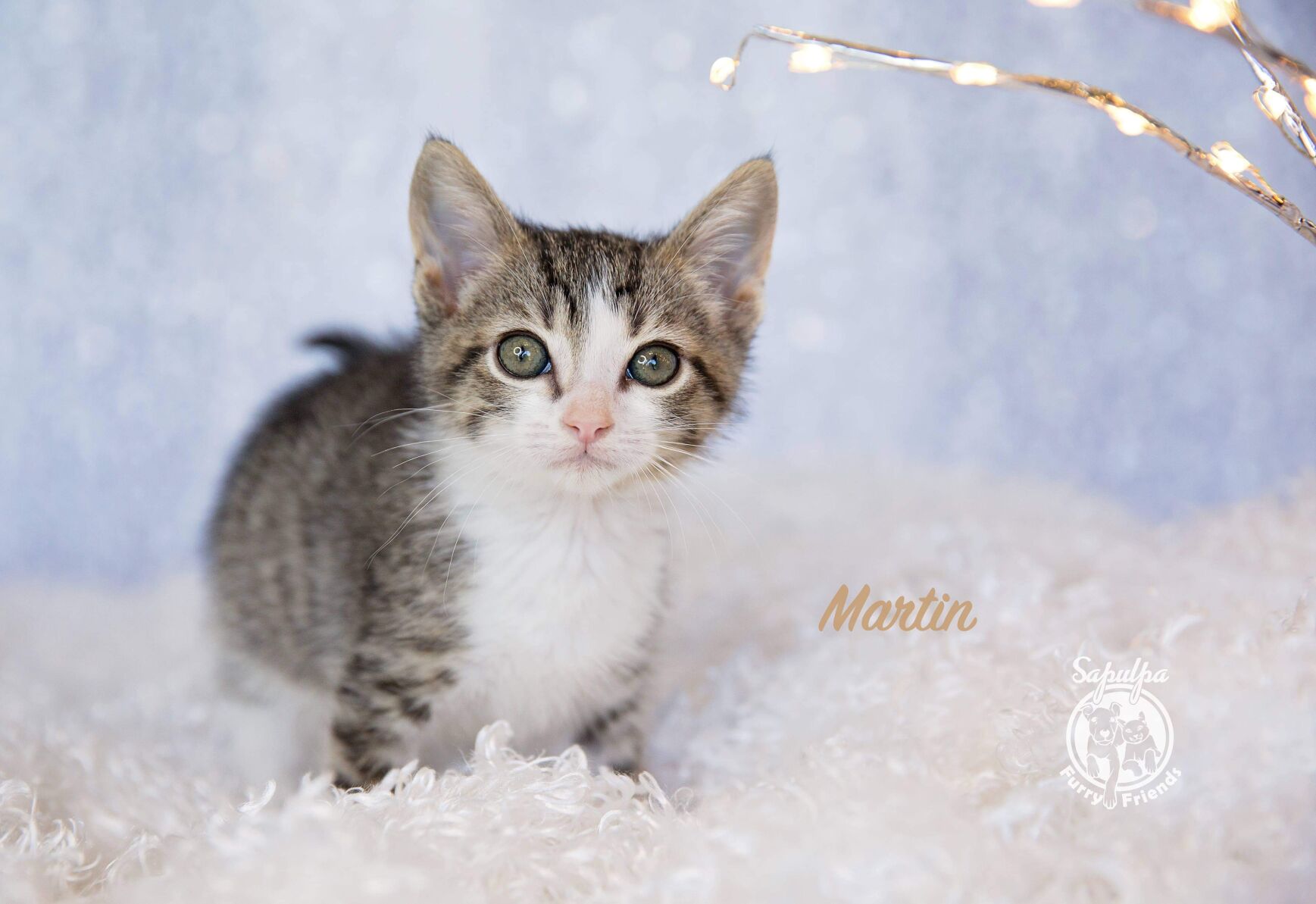 Martin